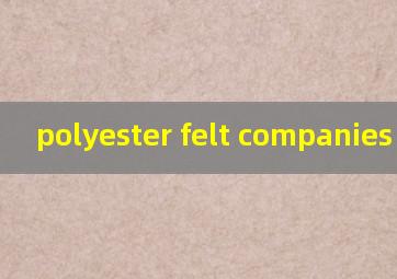 polyester felt companies